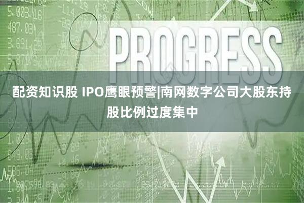 配资知识股 IPO鹰眼预警|南网数字公司大股东持股比例过度集中