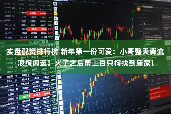 实盘配资排行榜 新年第一份可爱:小哥整天背流浪狗闲逛!火了之后帮上百只狗找到新家!