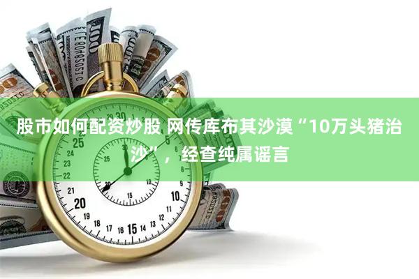 股市如何配资炒股 网传库布其沙漠“10万头猪治沙”，经查纯属谣言